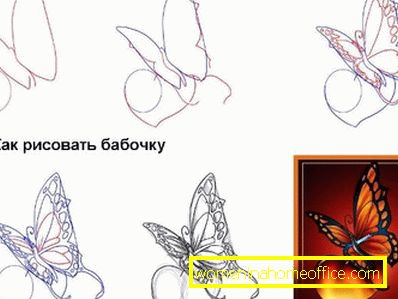Comment dessiner un papillon?