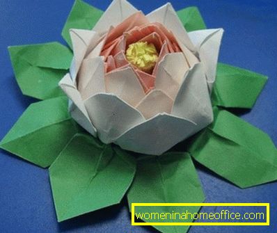 Origami Lotus