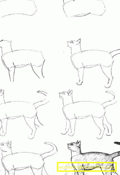 Dessins animaux au crayon pour débutants