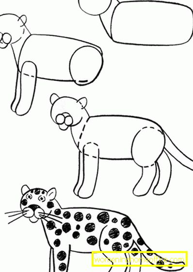 Dessins animaux au crayon pour débutants