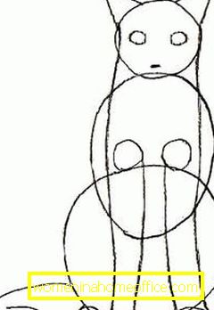 La deuxième étape du dessin d'un chat