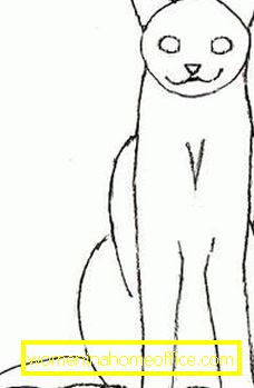 La troisième étape du dessin d'un chat