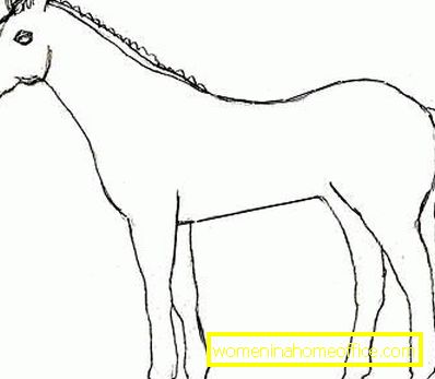 Cinquième étape du dessin d'un cheval avec un crayon