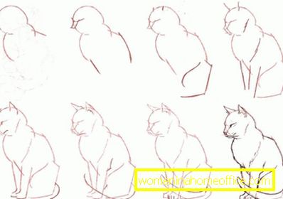 Dessins animaux au crayon pour débutants