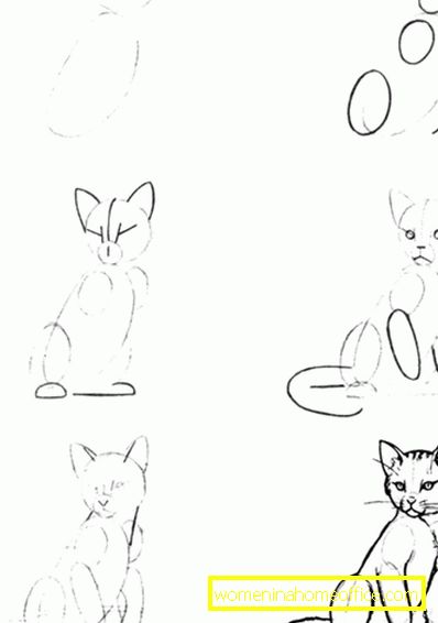 Dessins animaux au crayon pour débutants