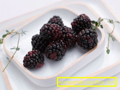 Mulberry: propriétés utiles